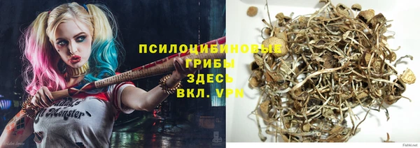 каннабис Алзамай